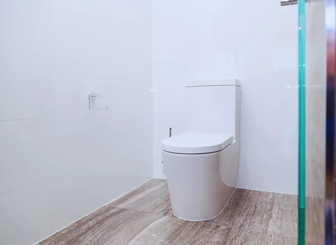 Remplacement de wc Saint-Philbert-de-Grand-Lieu